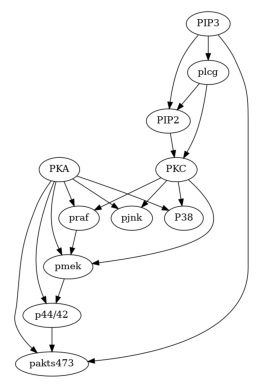 ../_images/example_notebooks_gcm_falsify_dag_15_0.png